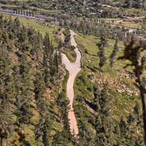 ירושלים - שכונת גבעת שאול - 02724