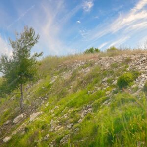 ירושלים - הר נוף - 02784