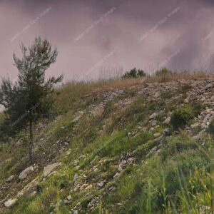ירושלים - הר נוף - 02785