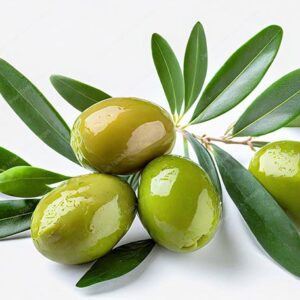 שבעת המינים - תמונת זית - 21437