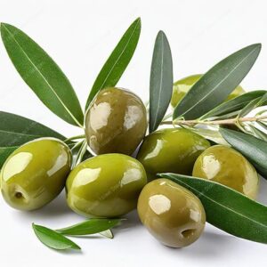 שבעת המינים - תמונת זית - 21442